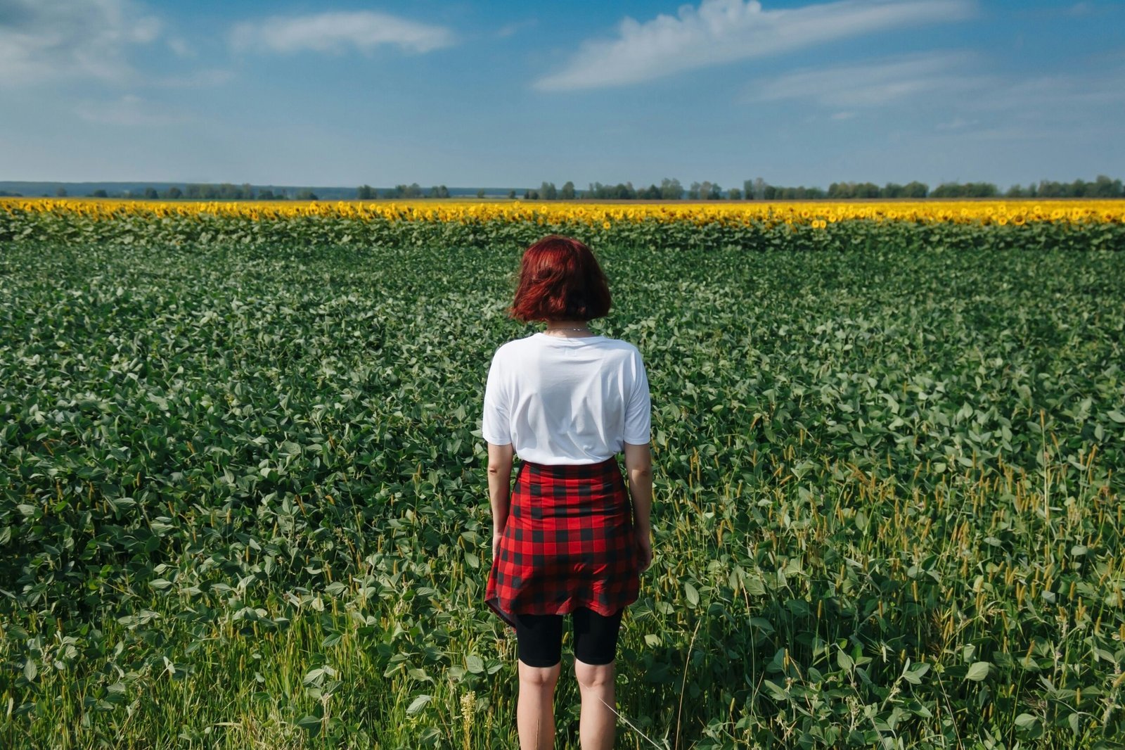 a person standing in a field of flowers